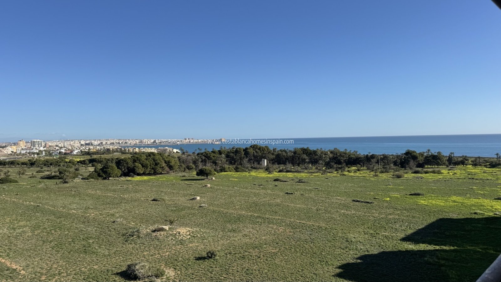 Resale - Apartment - Punta Prima - Punta prima , Orihuela Costa