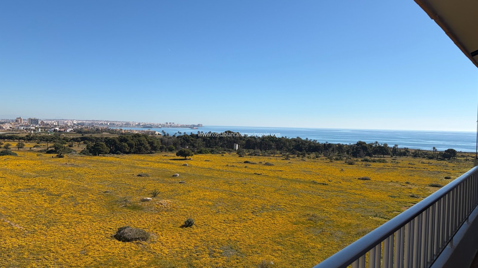 Resale - Apartment - Punta Prima - Punta prima , Orihuela Costa