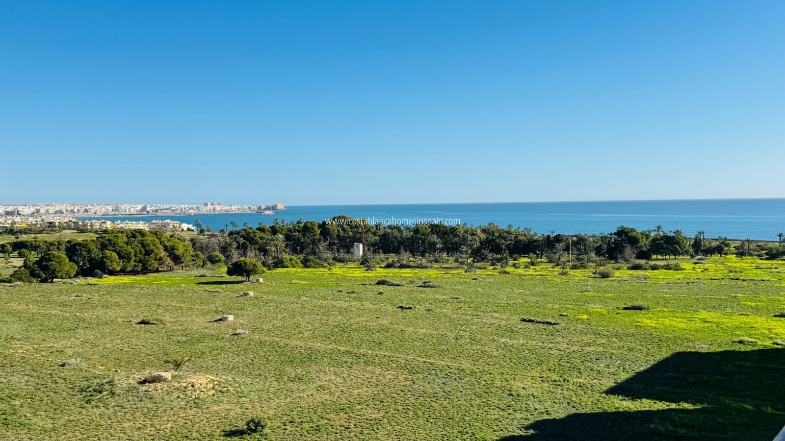 Resale - Apartment - Punta Prima - Punta prima , Orihuela Costa