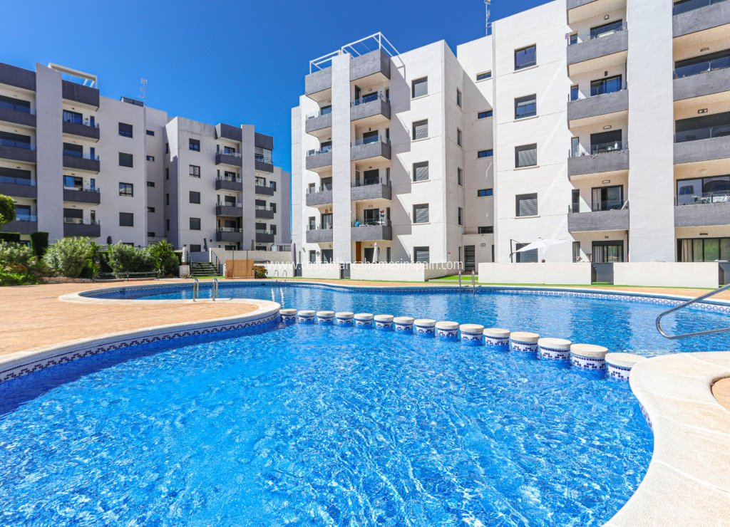 Resale - Apartment - San Miguel de Salinas