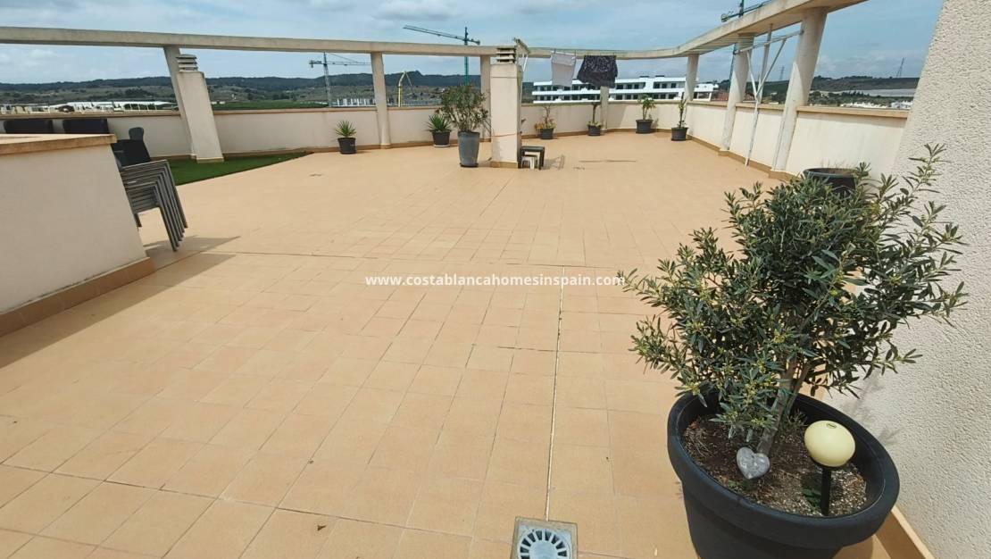 Resale - Apartment - San Miguel de Salinas