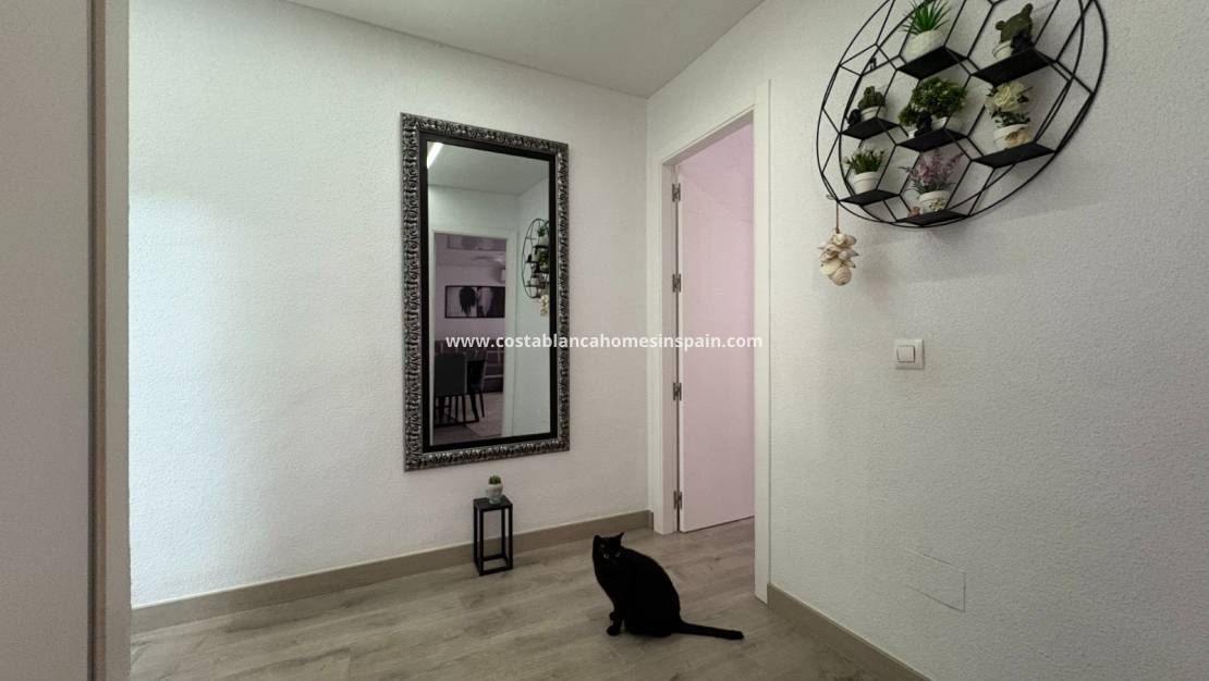 Resale - Apartment - Torrevieja - Center Torrevieja