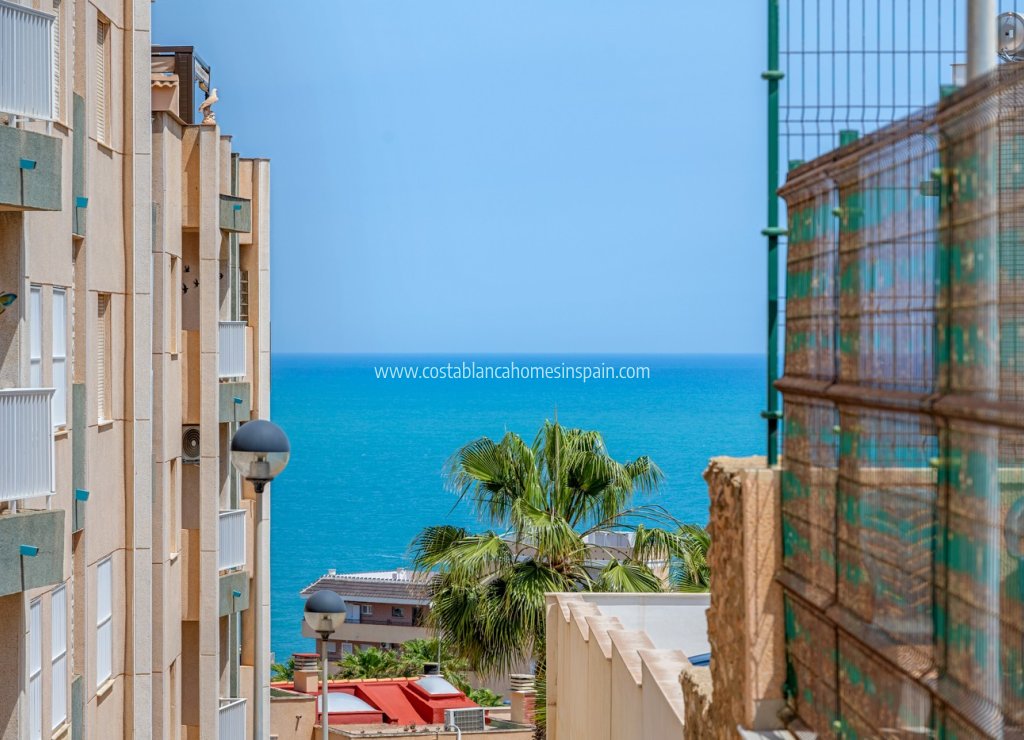 Resale - Apartment - Torrevieja - La Mata