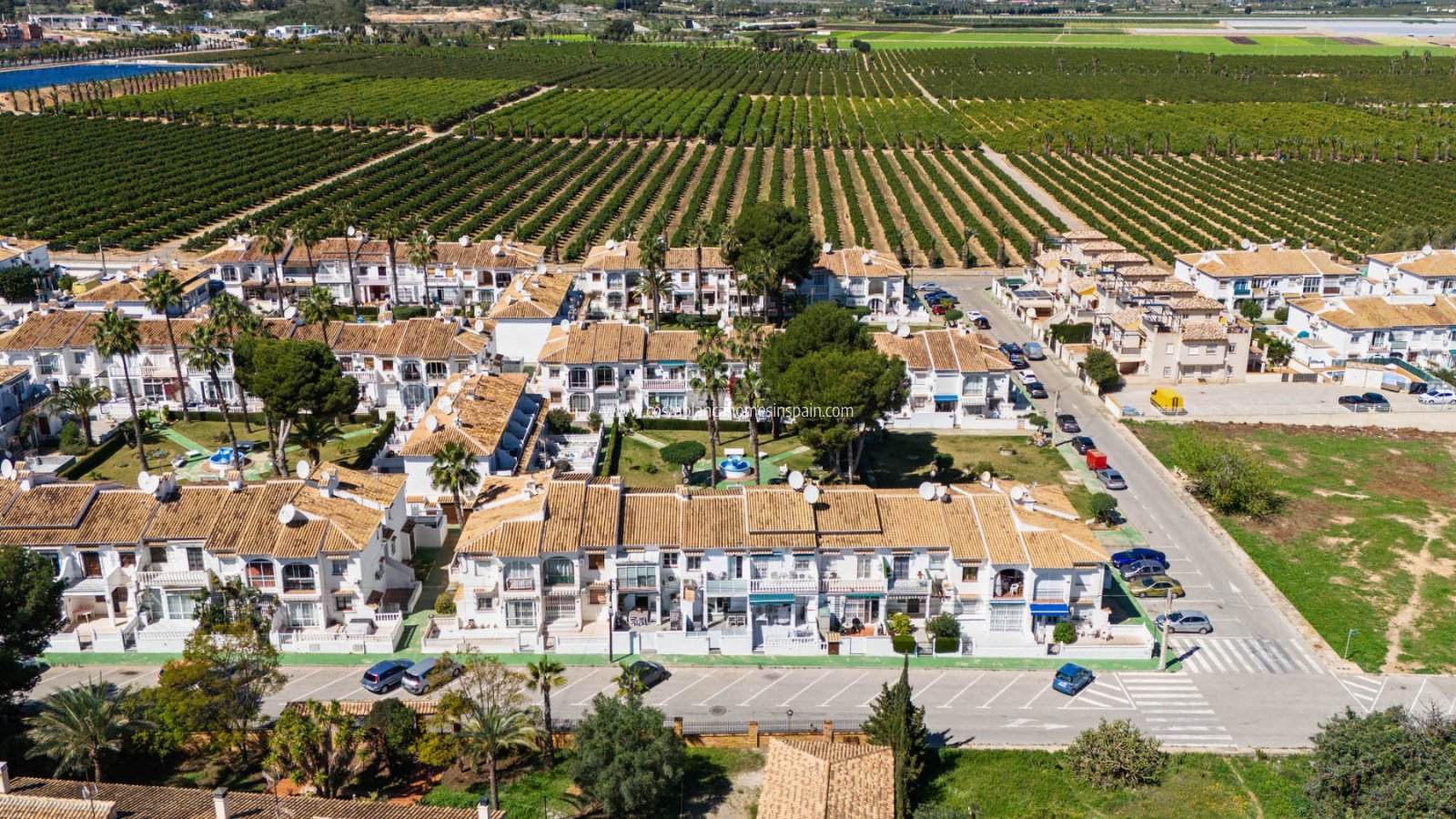 Resale - Apartment - Torrevieja - Lago jardin