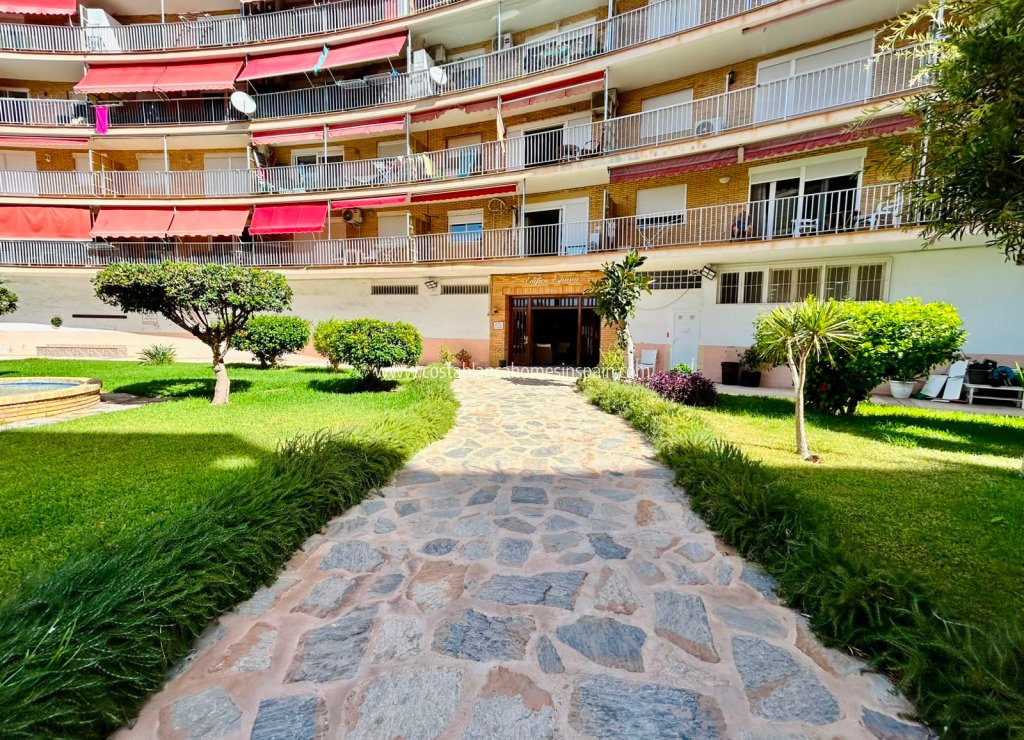 Resale - Apartment - Torrevieja - Playa de los Locos