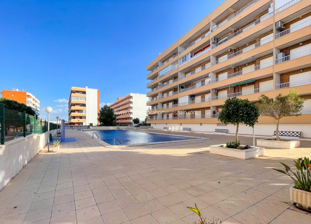 Resale - Apartment - Torrevieja - Punta Prima