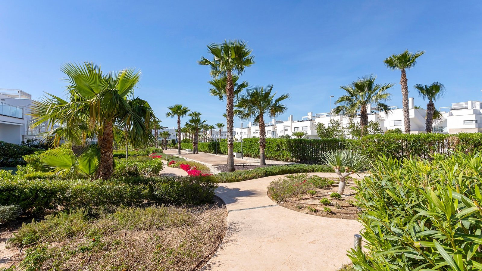 Resale - Apartment - Vistabella - Vistabella Golf