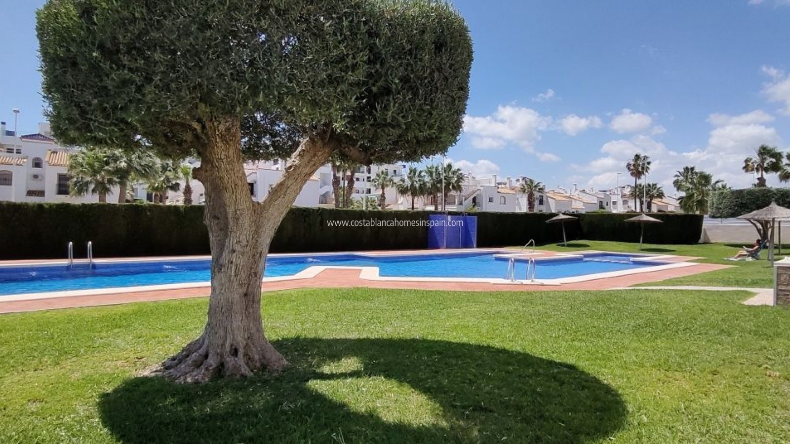 Resale - Bungalow - Los Dolses - LOS DOLSES