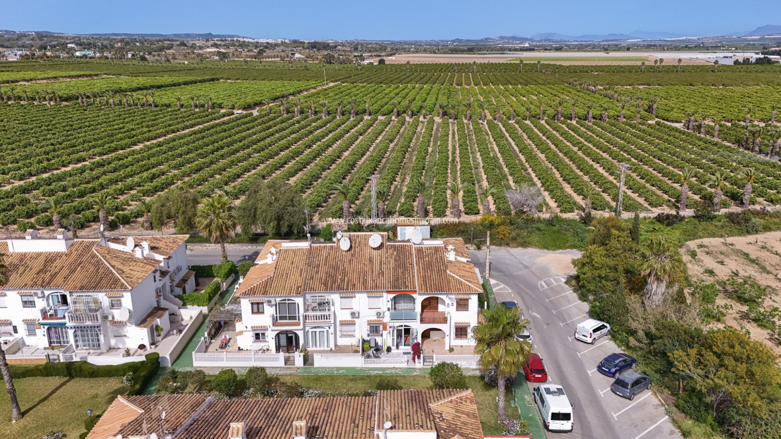 Resale - Bungalow - Torrevieja - Lago jardin