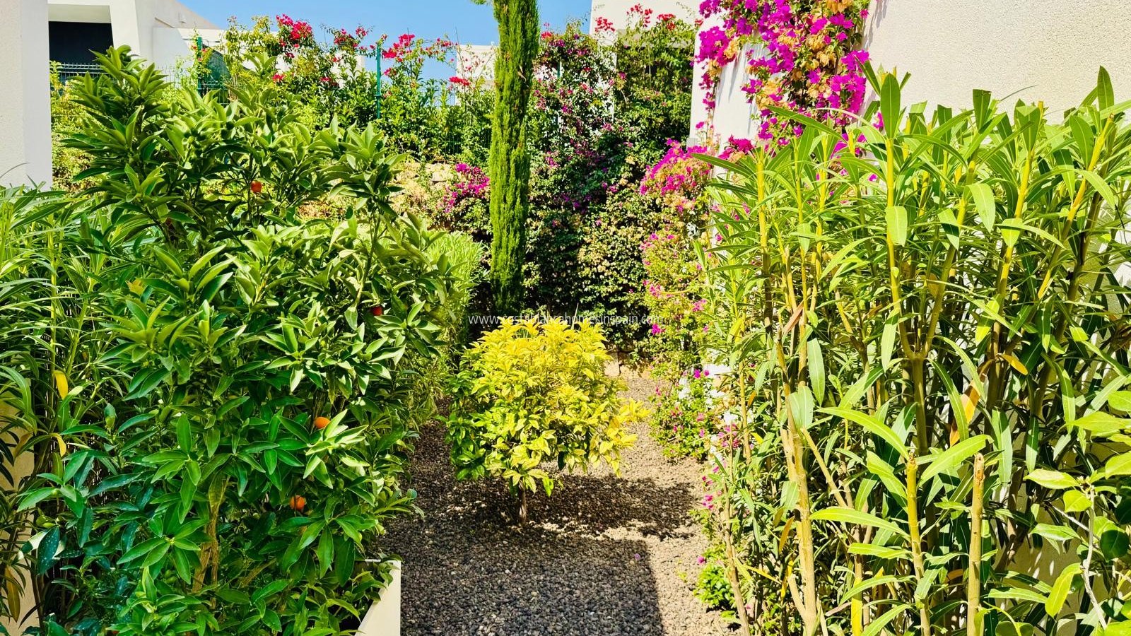 Resale - Detached Villa - Algorfa - La Finca Golf