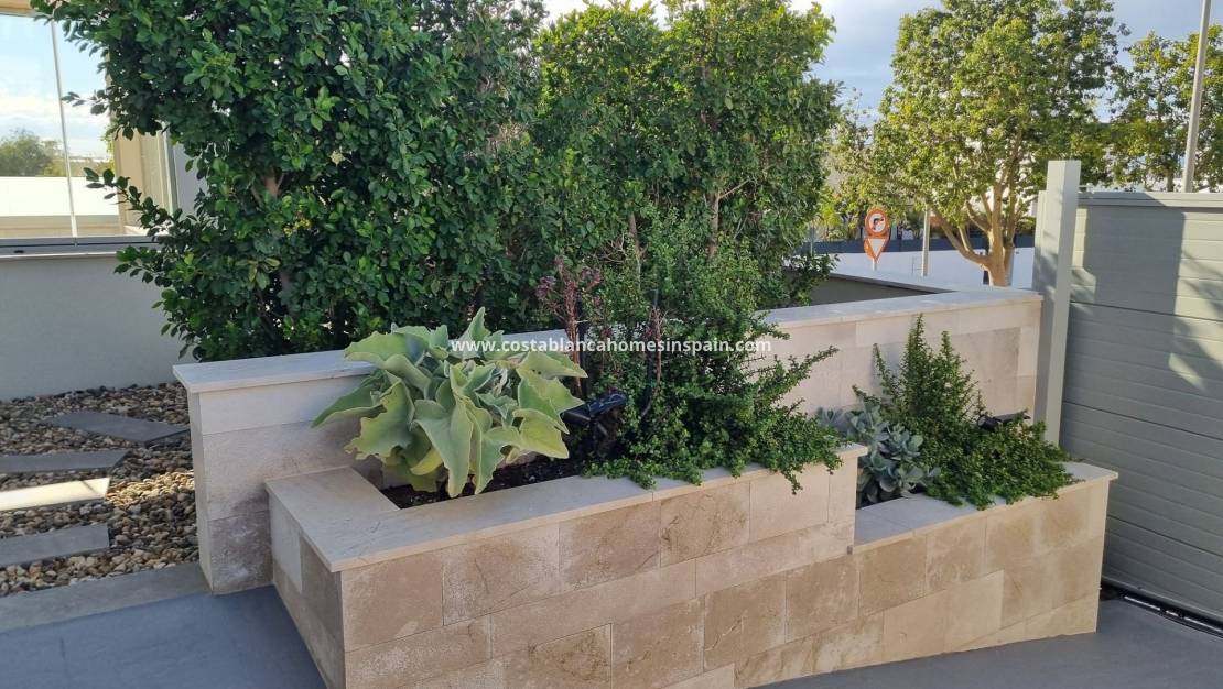 Resale - Detached Villa - Benijófar