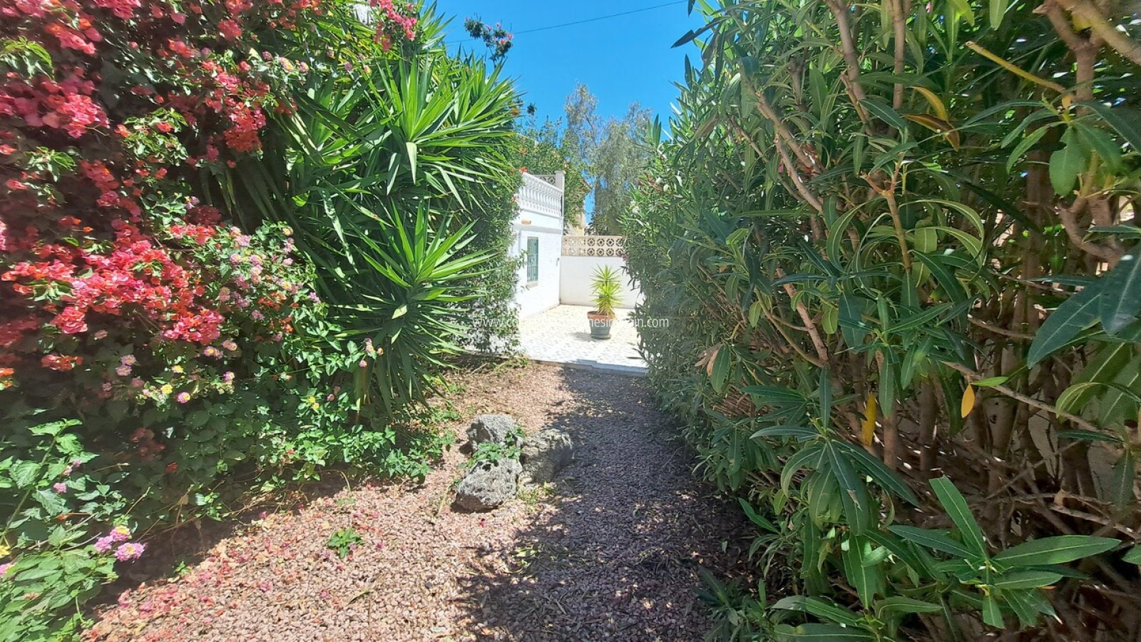 Resale - Detached Villa - San Miguel de Salinas - BLUE LAGOON