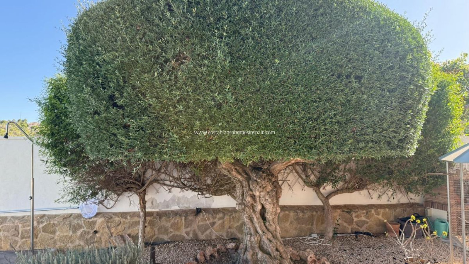 Resale - Detached Villa - San Miguel de Salinas