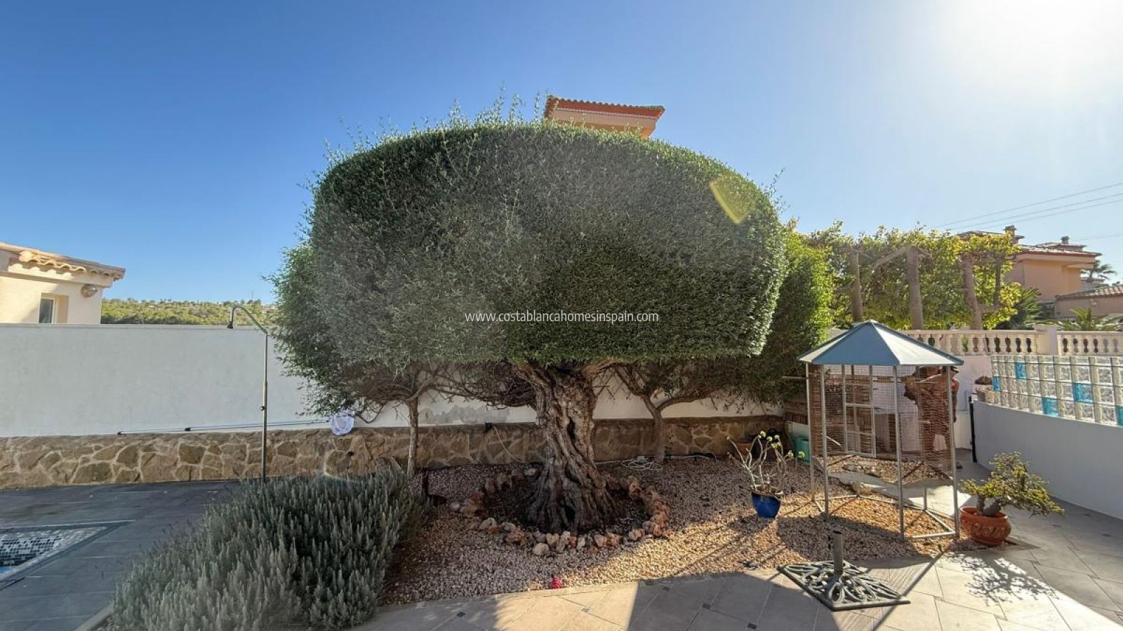 Resale - Detached Villa - San Miguel de Salinas