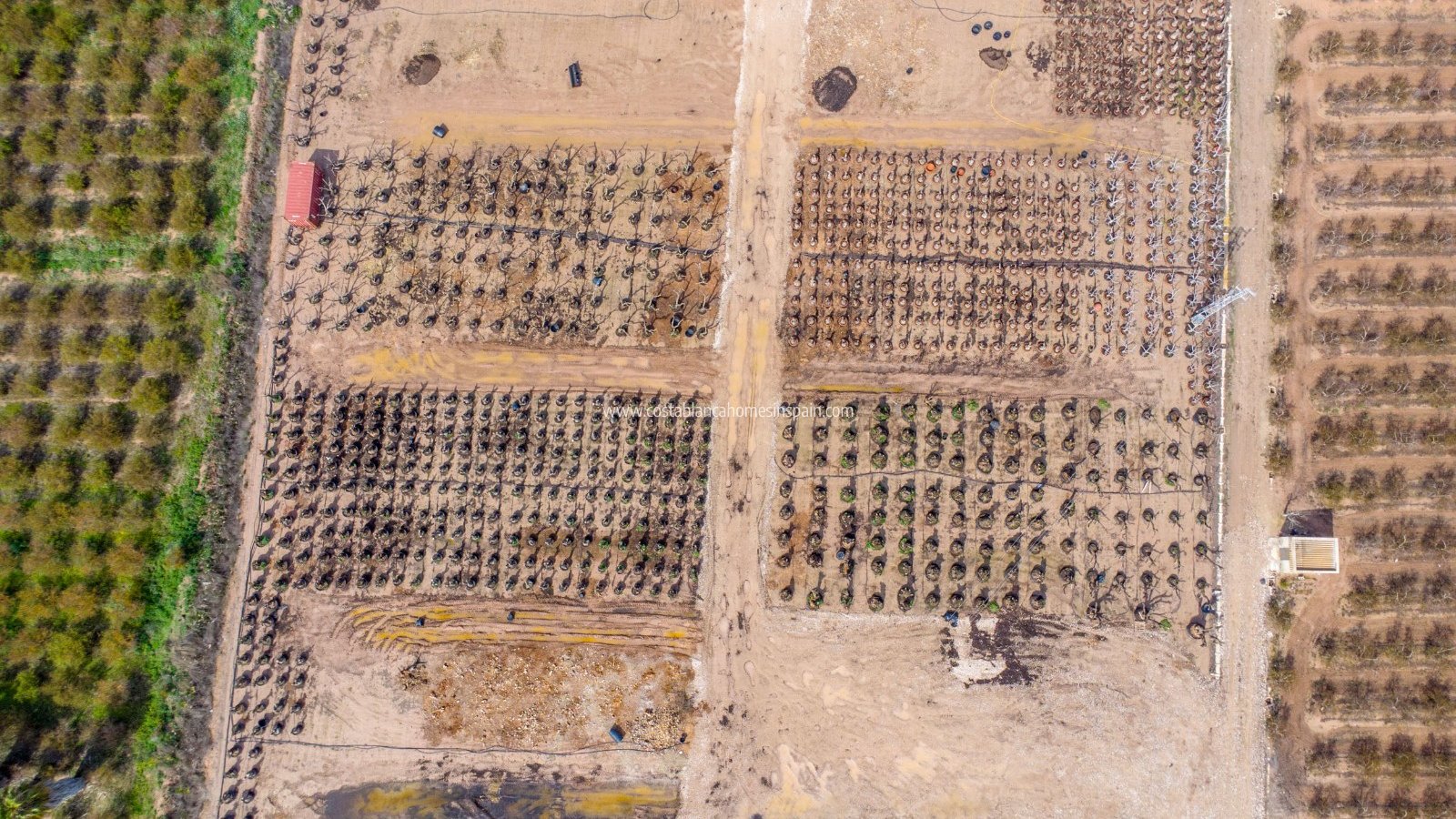 Resale - Finca - Albatera