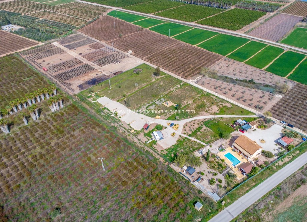 Resale - Finca - Crevillente