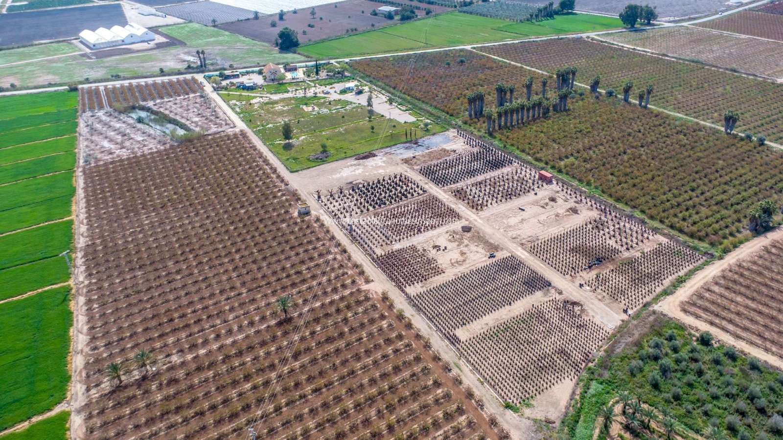 Resale - Finca - Crevillente