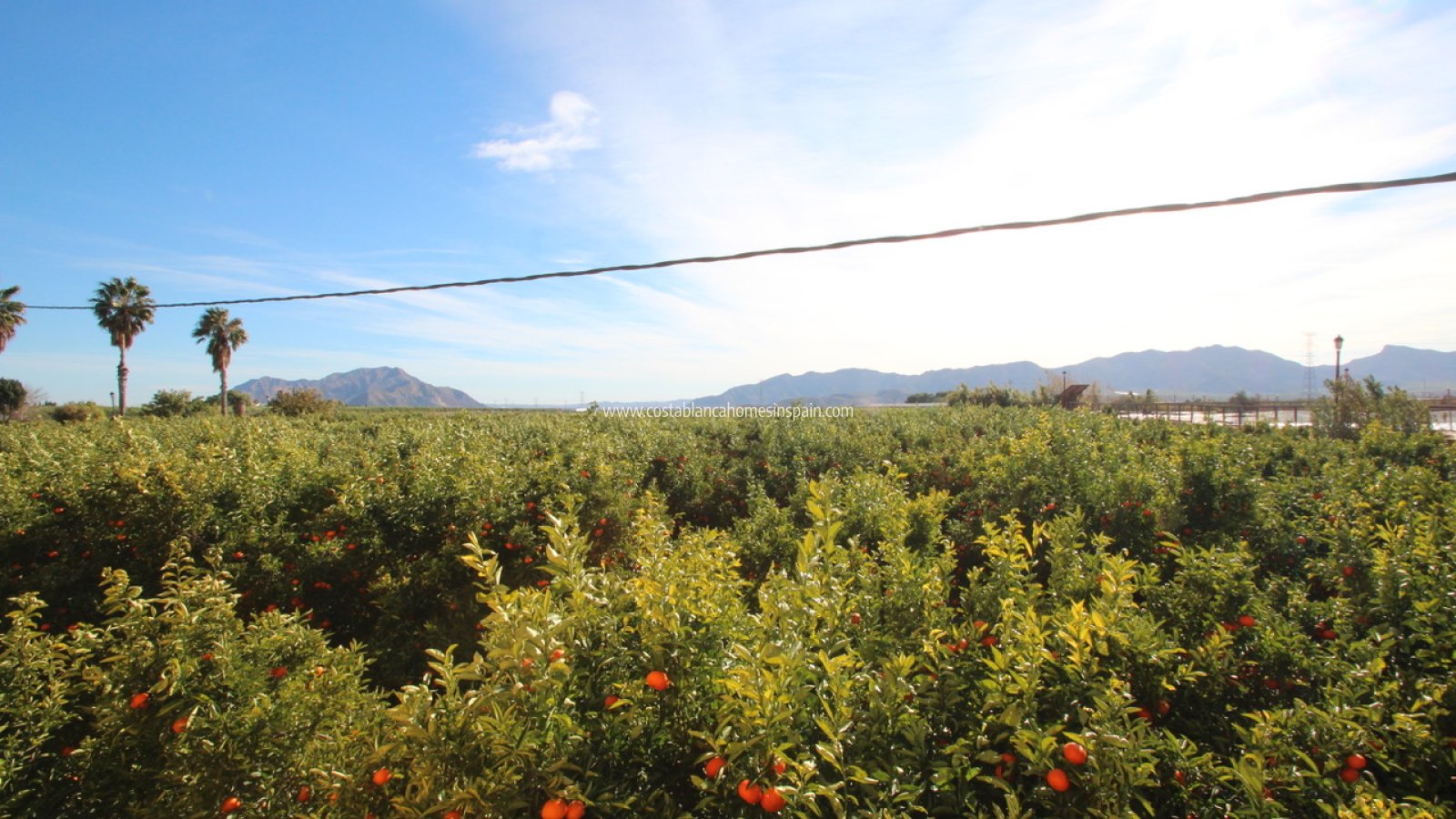 Resale - Finca - MURCIA REGION - Costa Blanca Sur