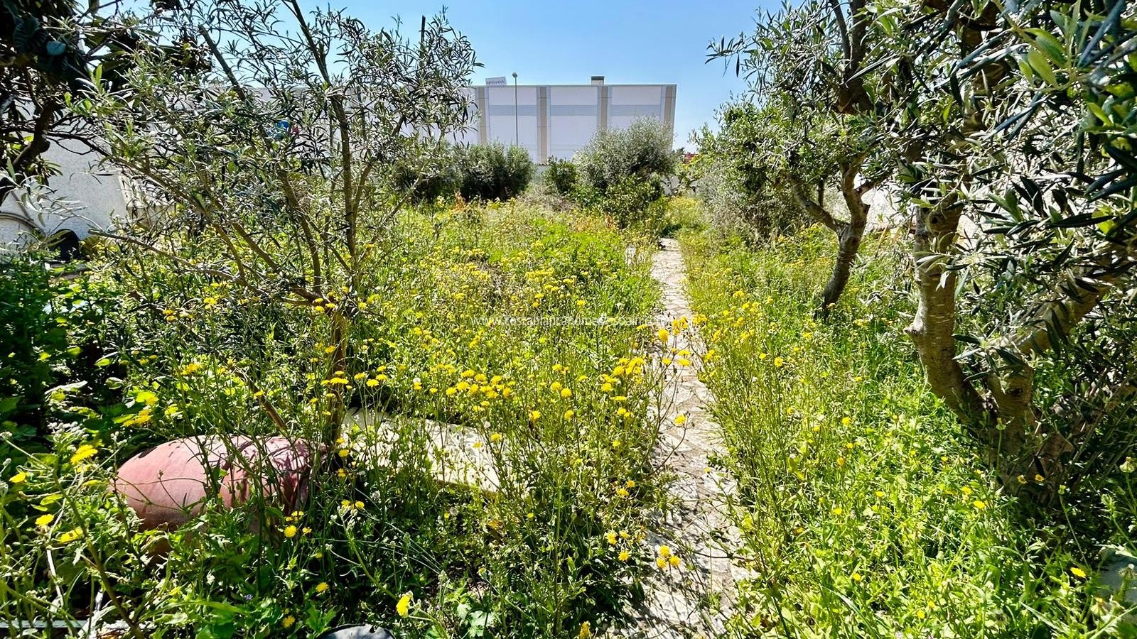 Resale - Plot - Ciudad Quesada - Rojales