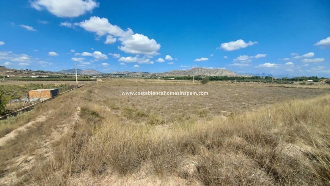 Resale - Plot - Hondon de las Nieves