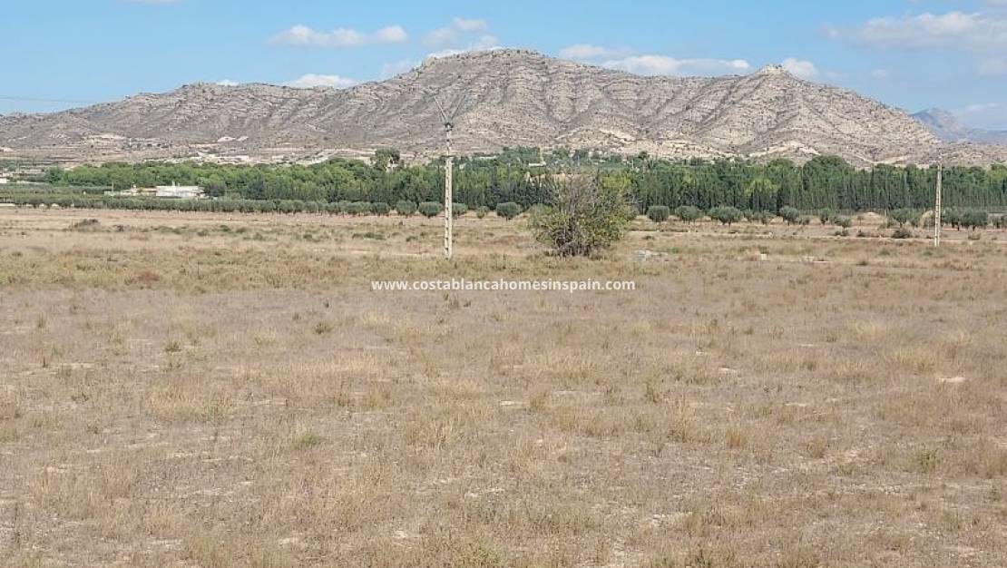 Resale - Plot - Hondon de las Nieves