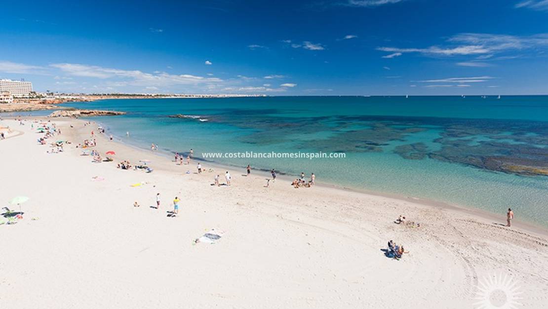 Resale -  - San Miguel de Salinas - BLUE LAGOON