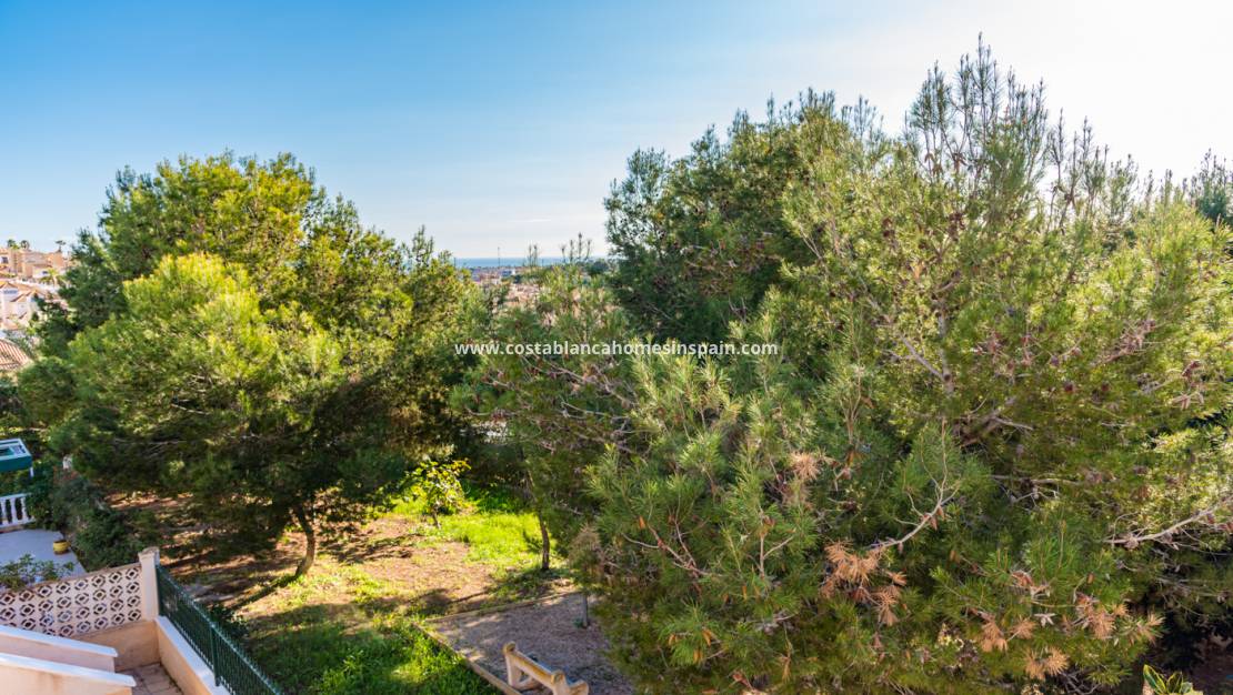 Resale -  - San Miguel de Salinas - El galán