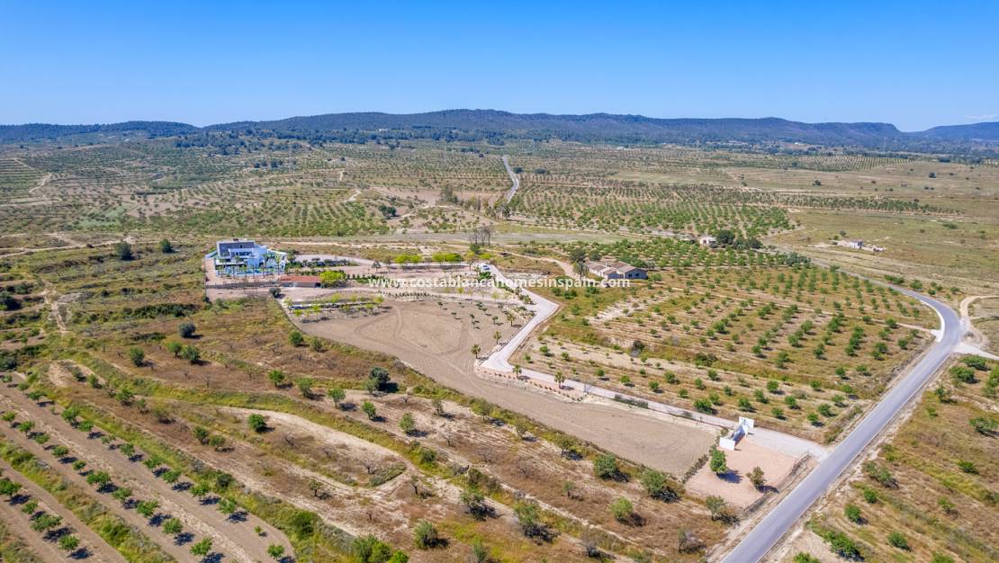 Resale -  - Torremendo