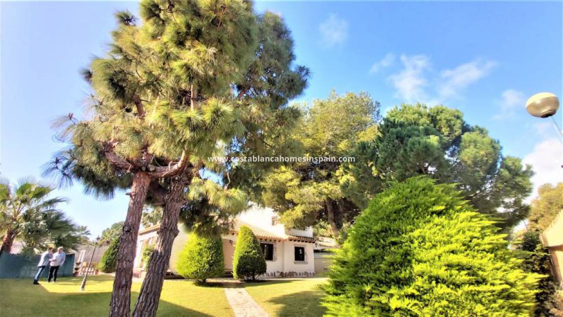 Resale -  - Torrevieja