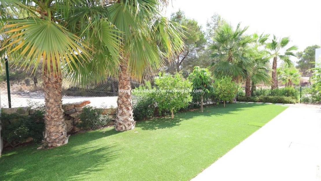 Resale - Villa - Orihuela - Las Colinas Golf