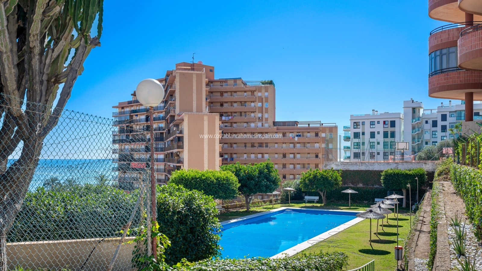Revente - Apartment - Arenales del sol - Segunda linea playa