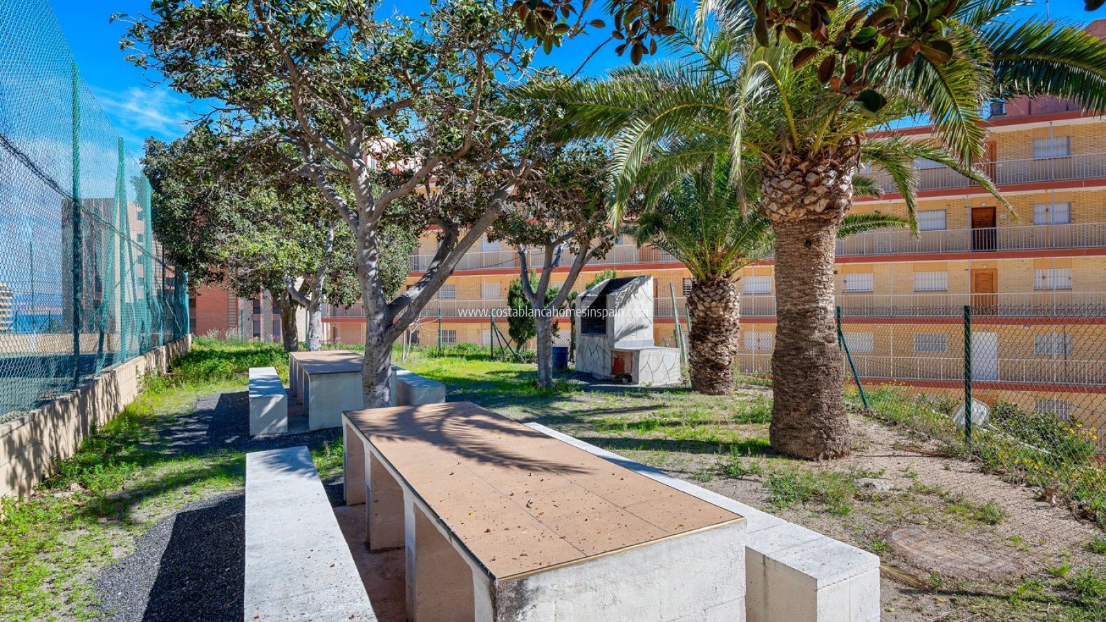 Revente - Apartment - Arenales del sol - Segunda linea playa
