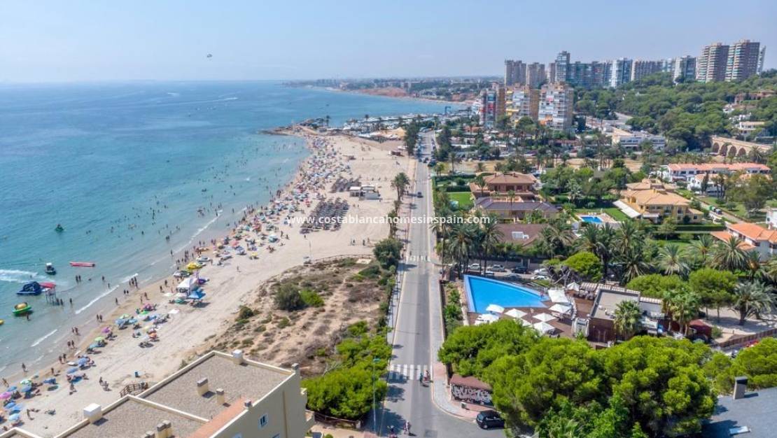 Revente - Apartment - Campoamor