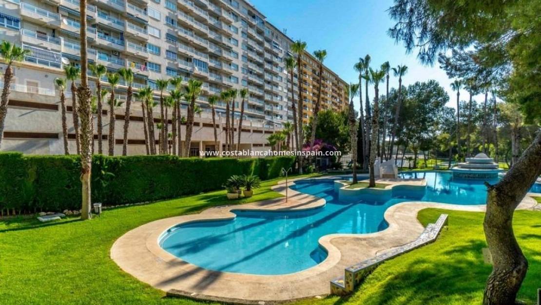 Revente - Apartment - Campoamor