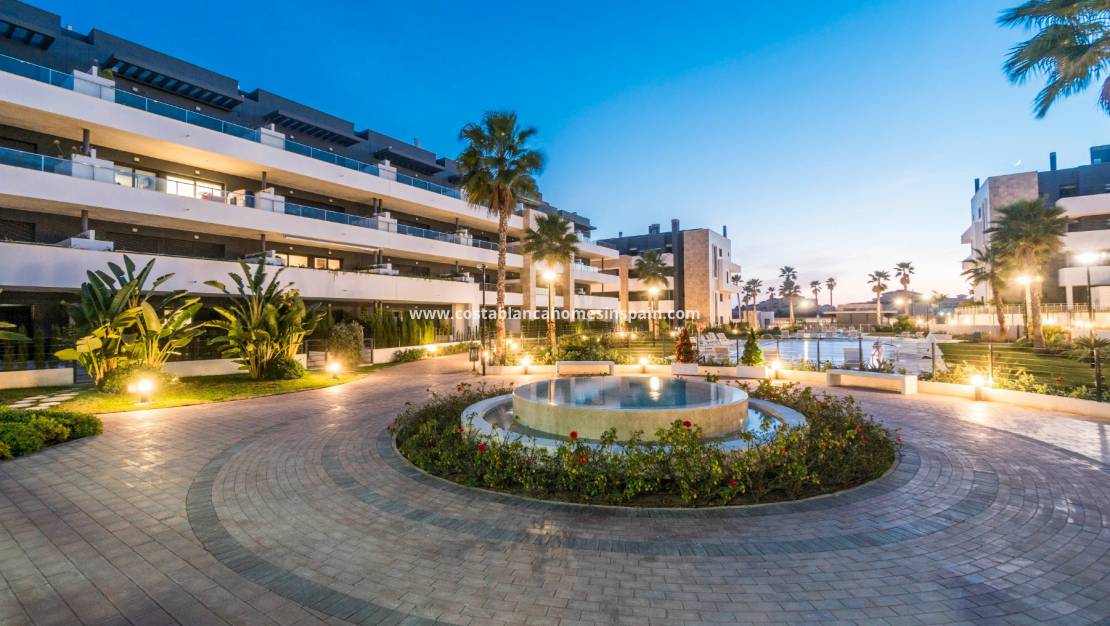 Revente - Apartment / flat - Orihuela Costa - Playa Flamenca