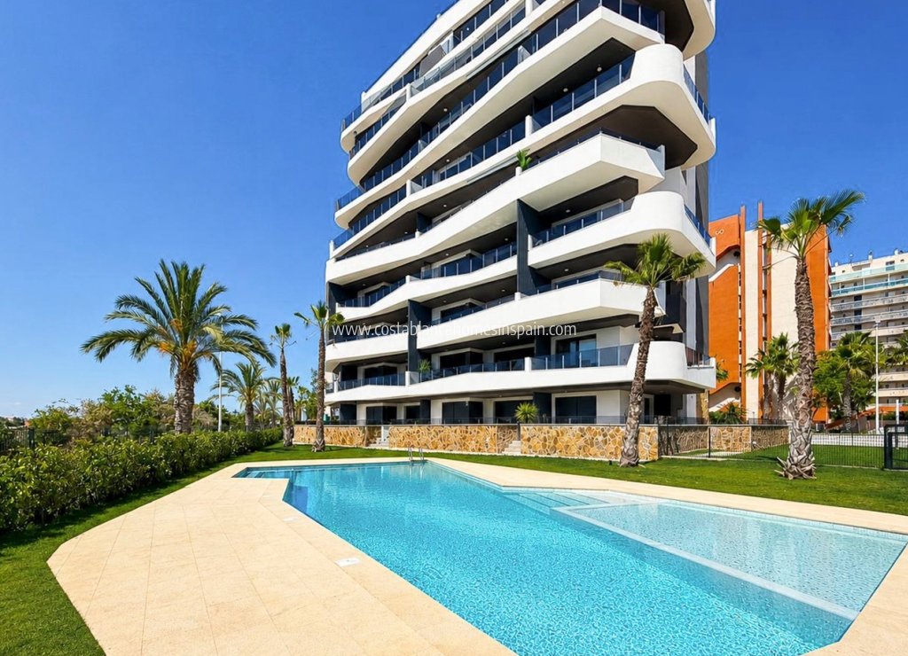 Revente - Apartment - Guardamar del Segura - Puerto Deportivo