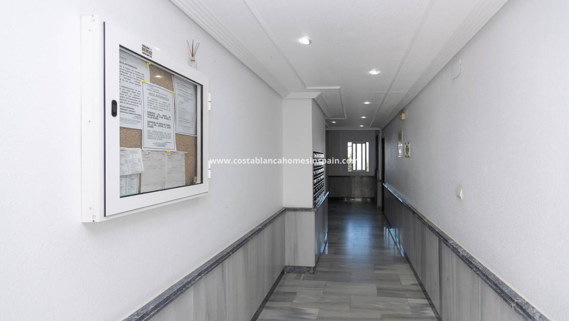 Revente - Apartment - La Zenia - Beachside