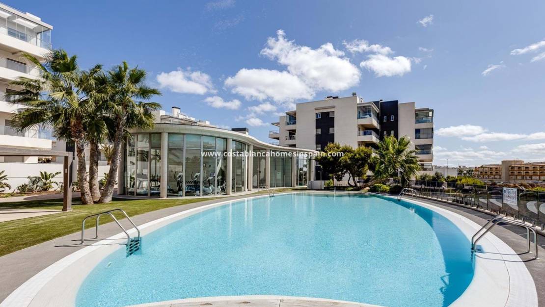 Revente - Apartment - Los Dolces - LOS DOLSES