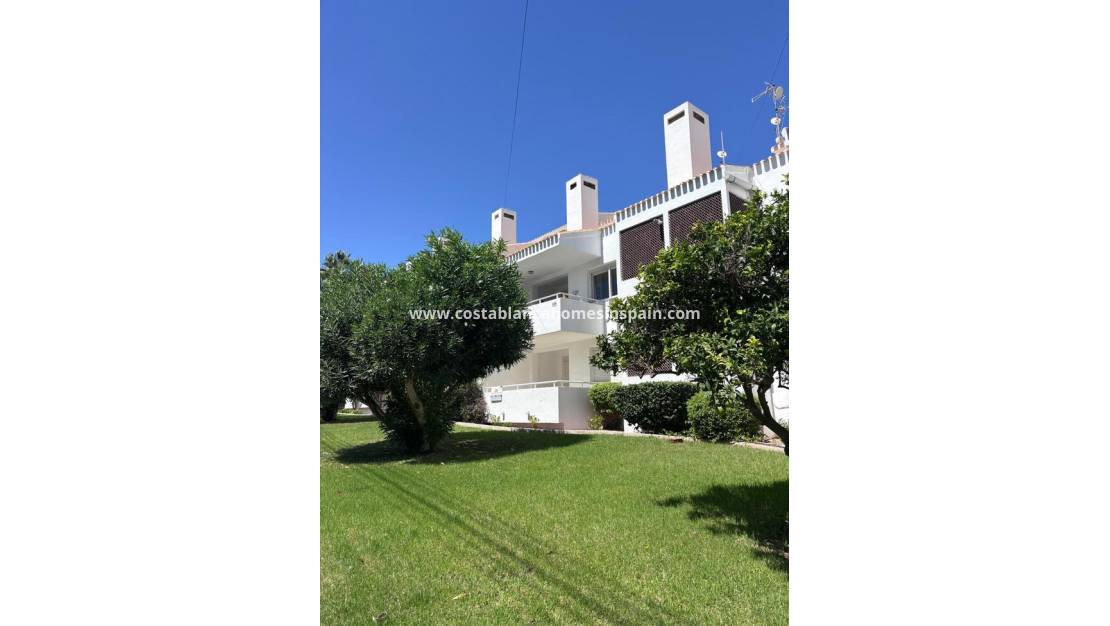 Revente - Apartment - Los Dolces - Villamartin