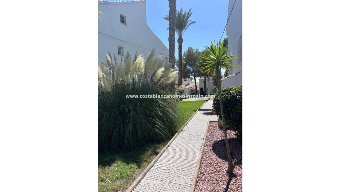 Revente - Apartment - Los Dolces - Villamartin