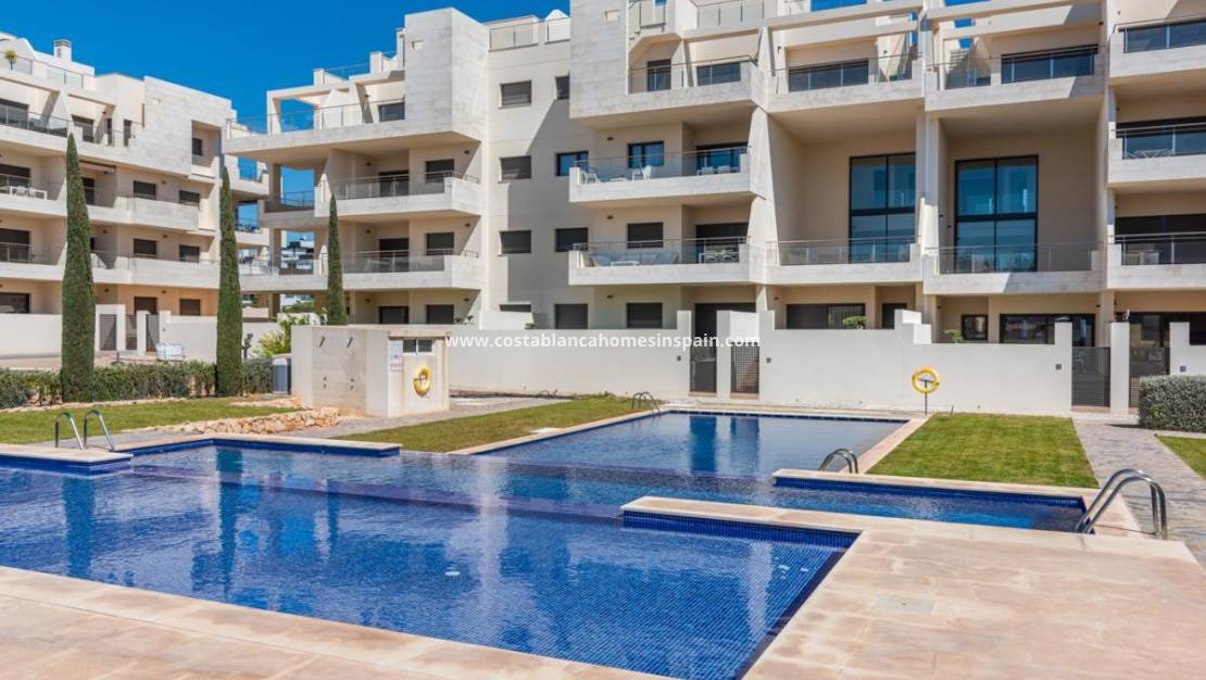 Revente - Apartment - Los Dolces - Villamartin
