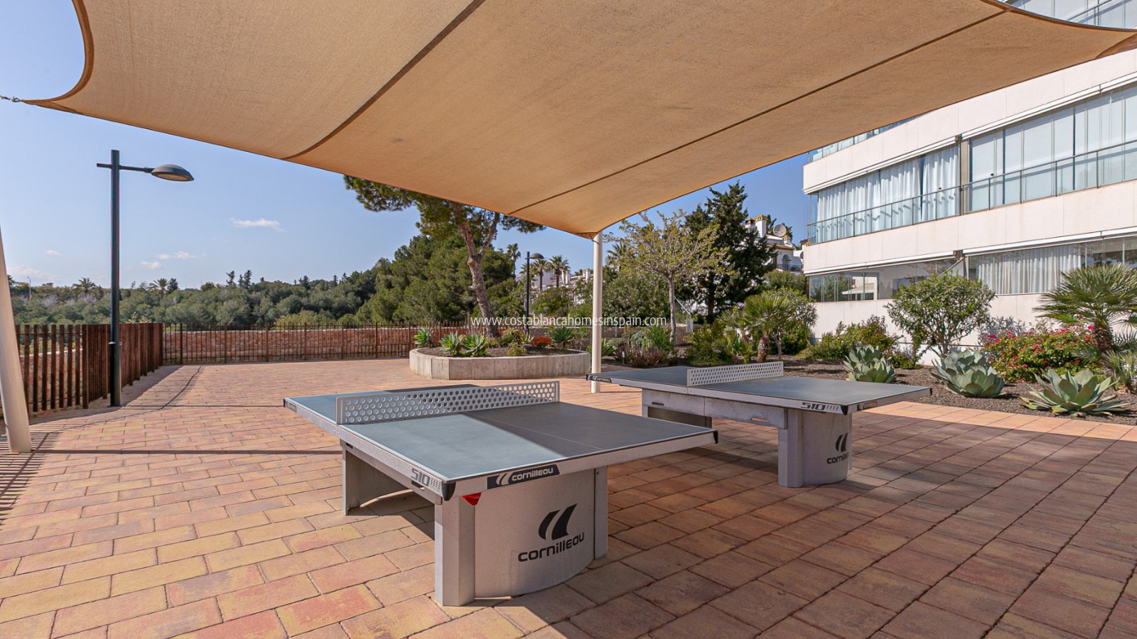 Revente - Apartment - Los Dolses - Pimienta