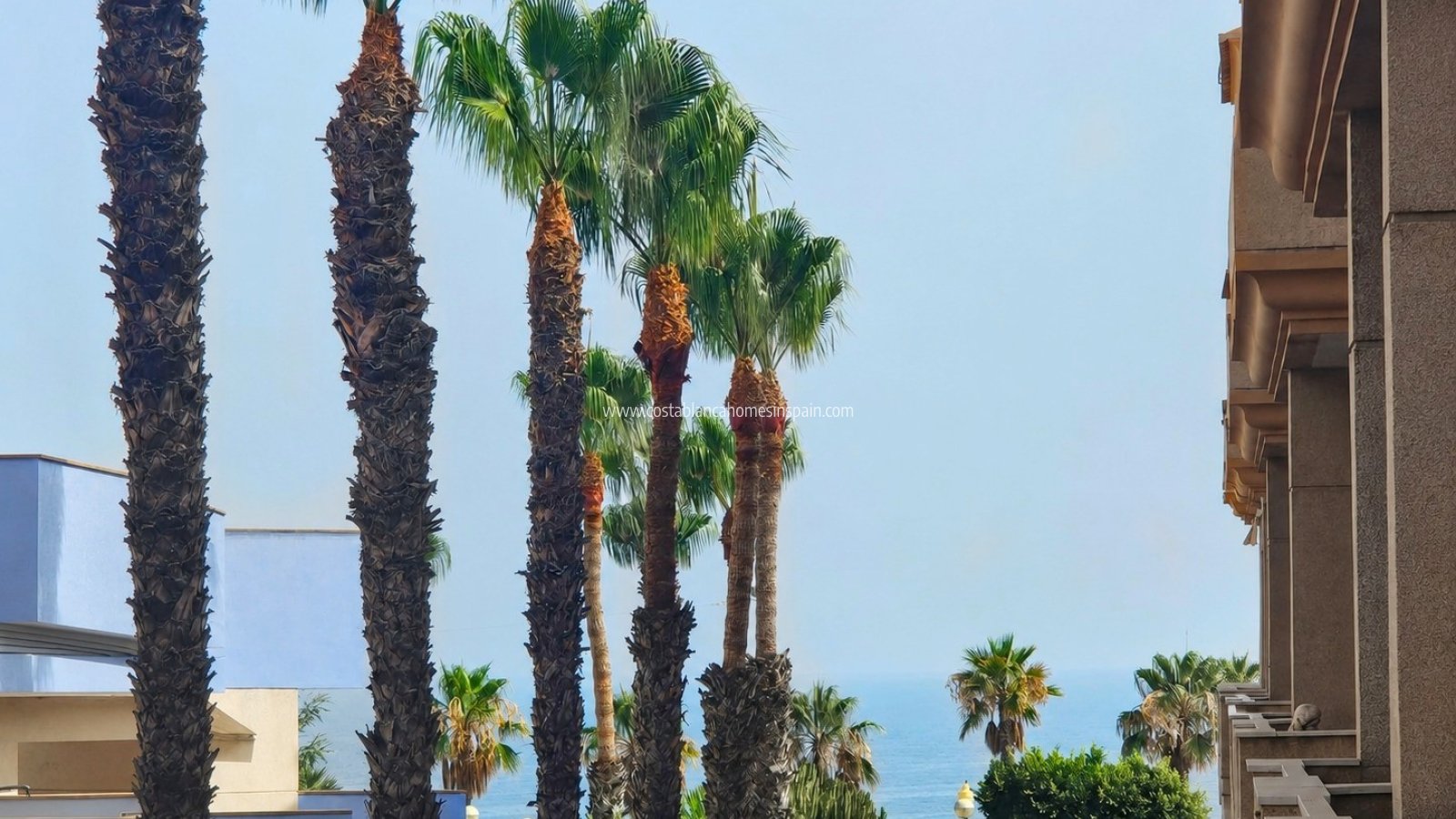 Revente - Apartment - Orihuela Costa - Agua Marina
