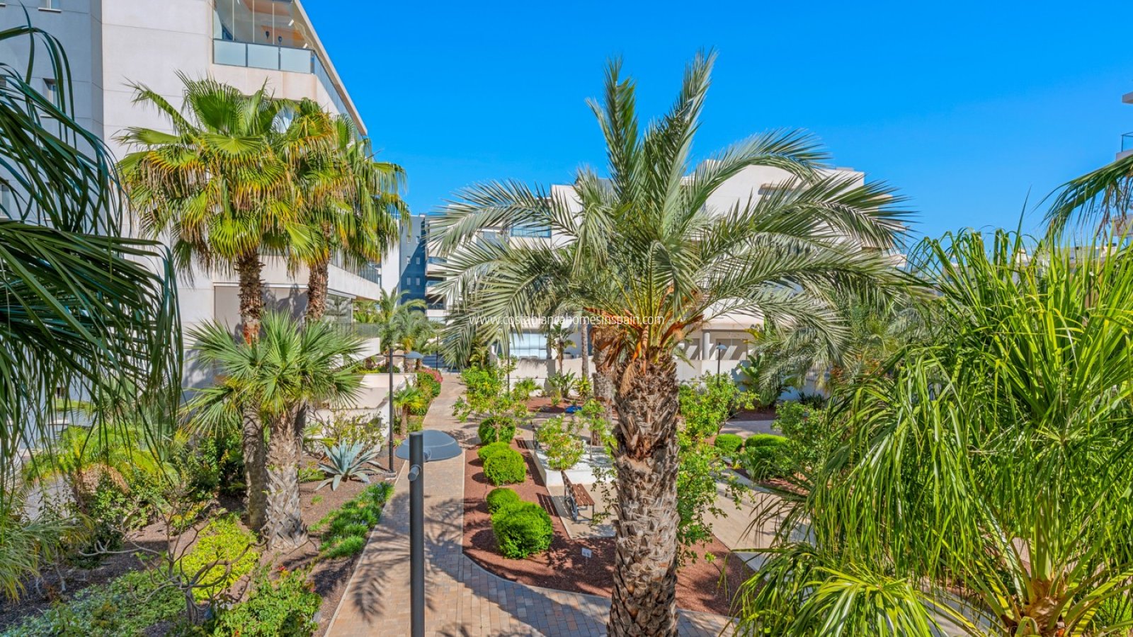 Revente - Apartment - Orihuela Costa - Los Dolses