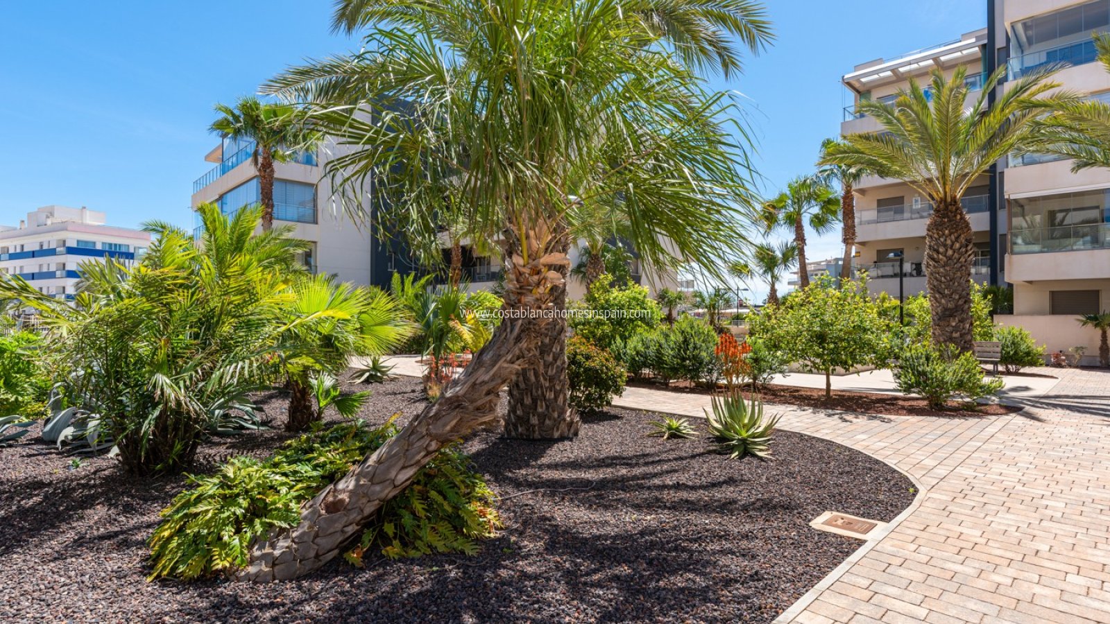 Revente - Apartment - Orihuela Costa - Los Dolses
