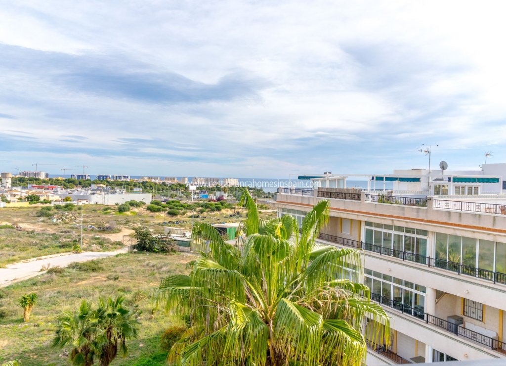Revente - Apartment - Orihuela Costa - Playa Flamenca