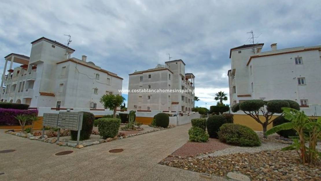 Revente - Apartment - Orihuela Costa