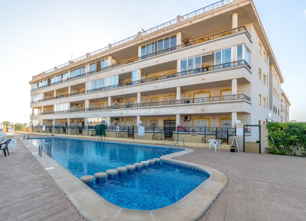 Revente - Apartment - Playa Flamenca - Orihuela Costa