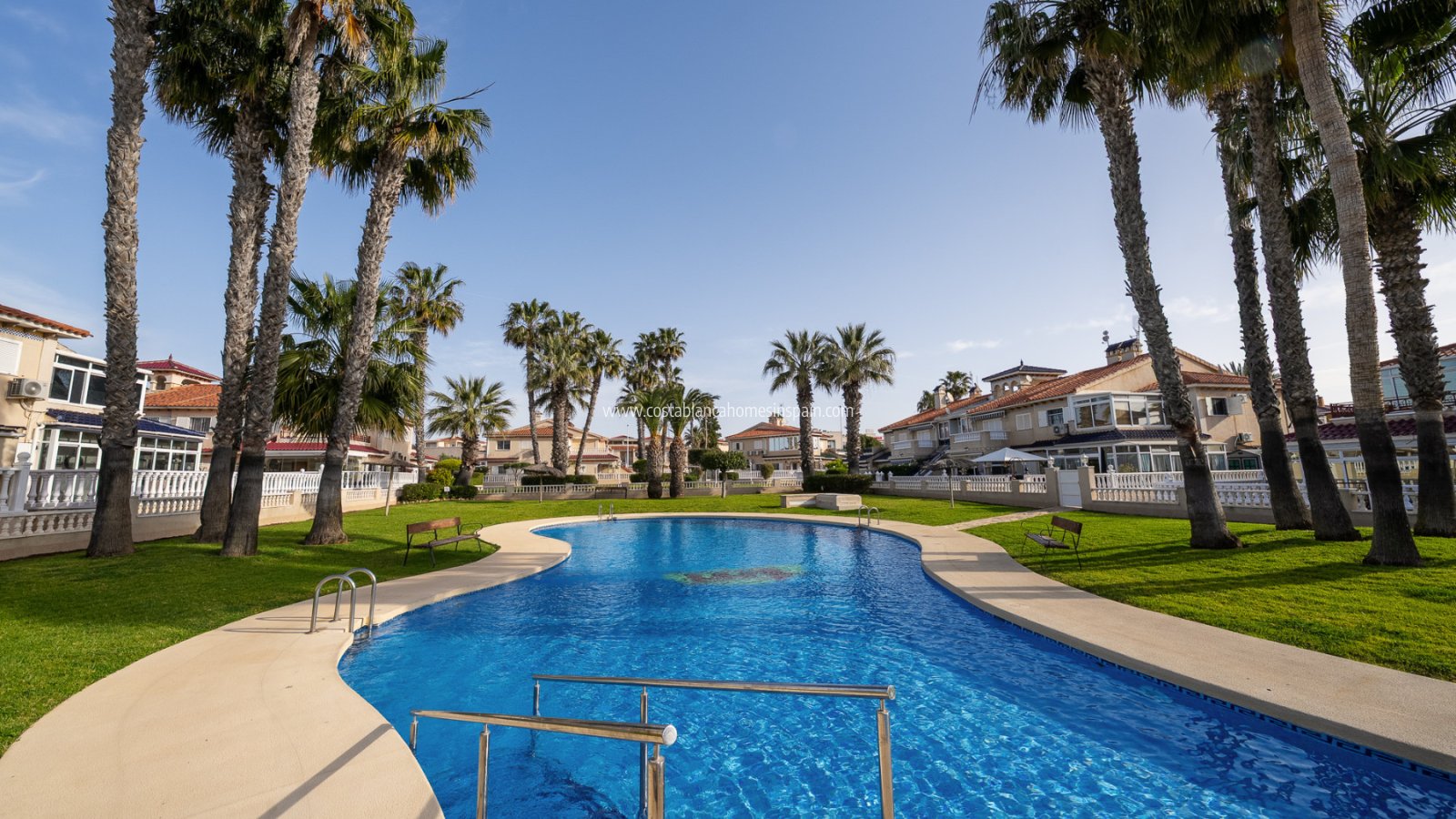 Revente - Apartment - Playa Flamenca - Zenia Mar