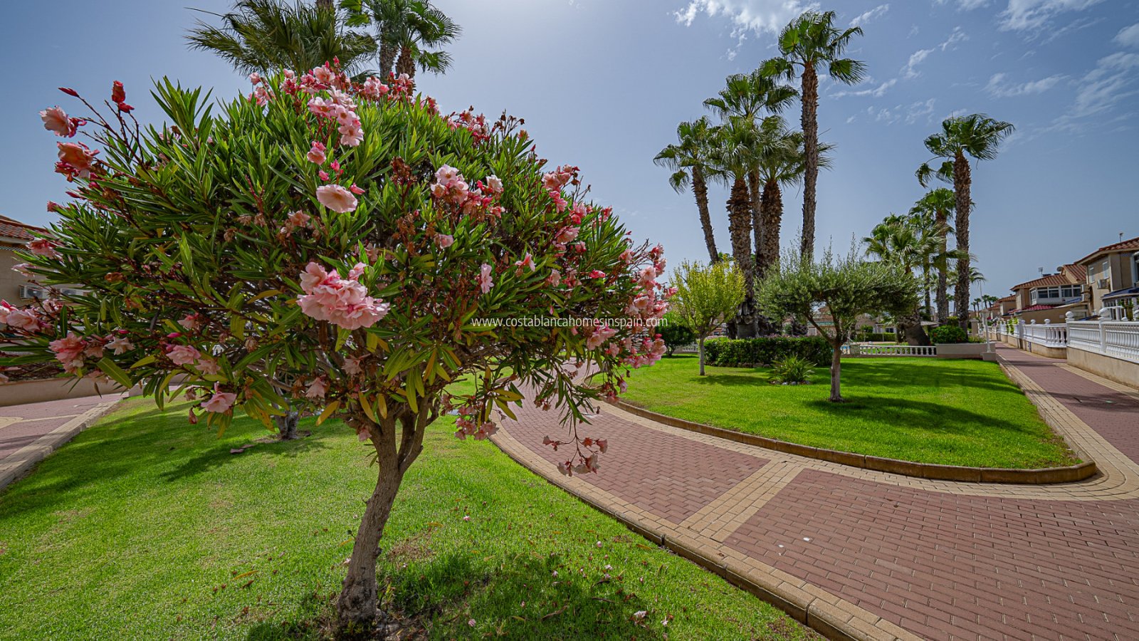 Revente - Apartment - Playa Flamenca - Zenia Mar